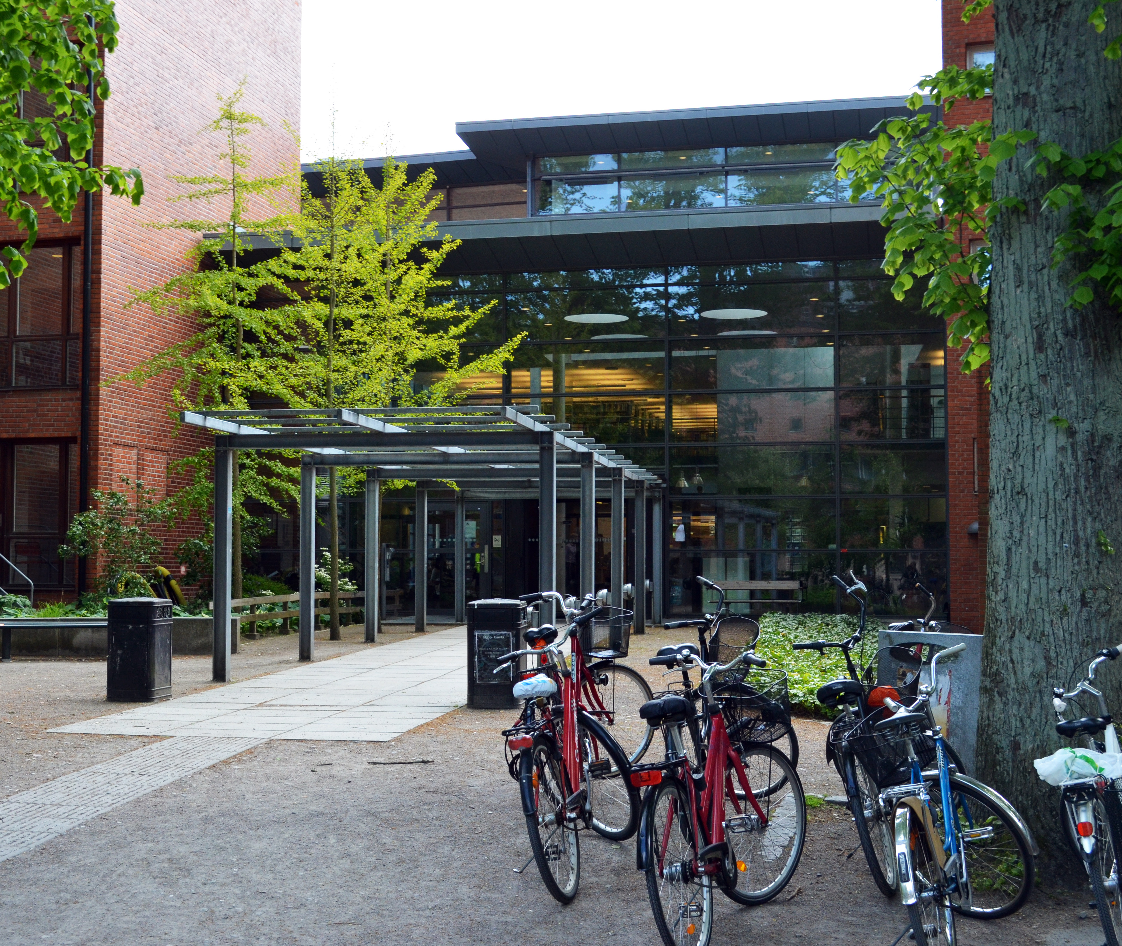 Centre for Languages and Literature