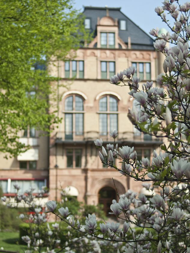 A picture of Grand Hotel behind a branch of magnolias.